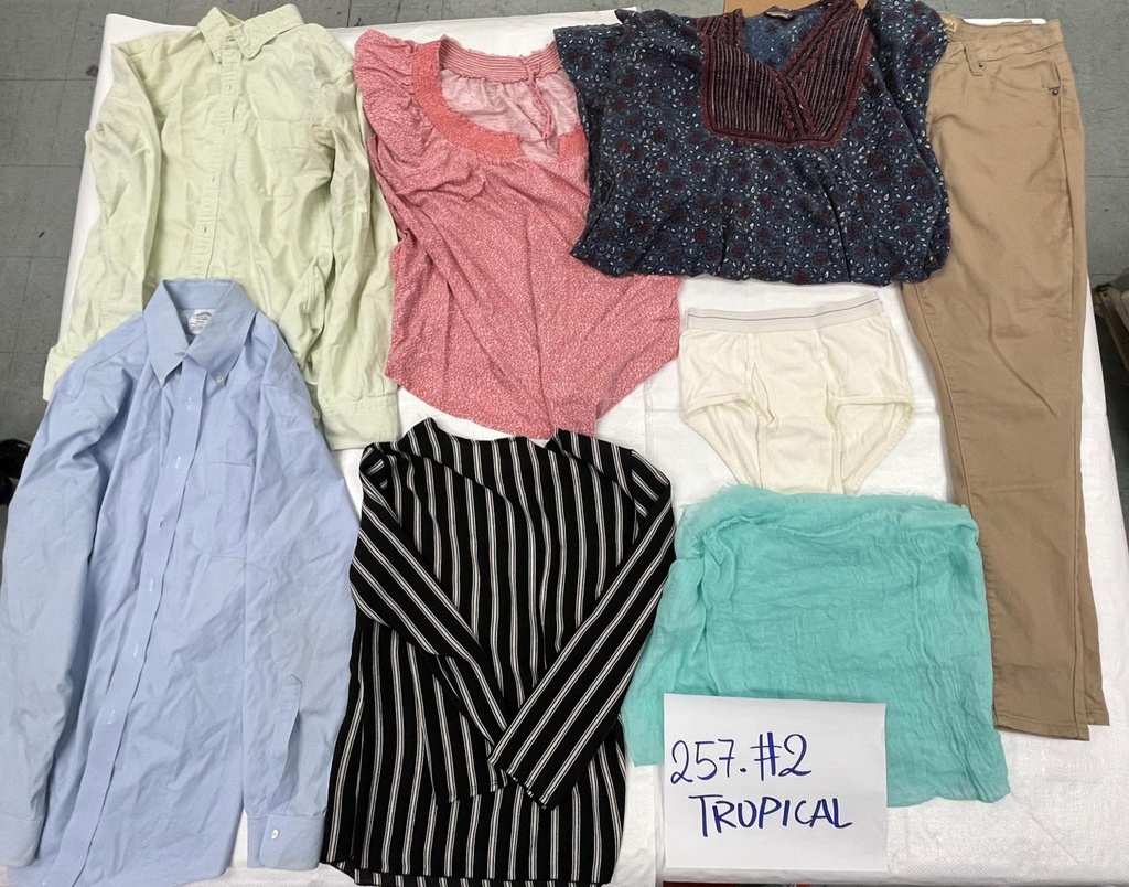 #2 Tropical