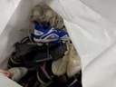 Soccer Shoes #1
