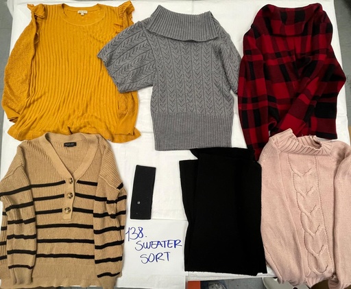 [138-222] Sweater SORT